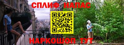 гашик Кинель